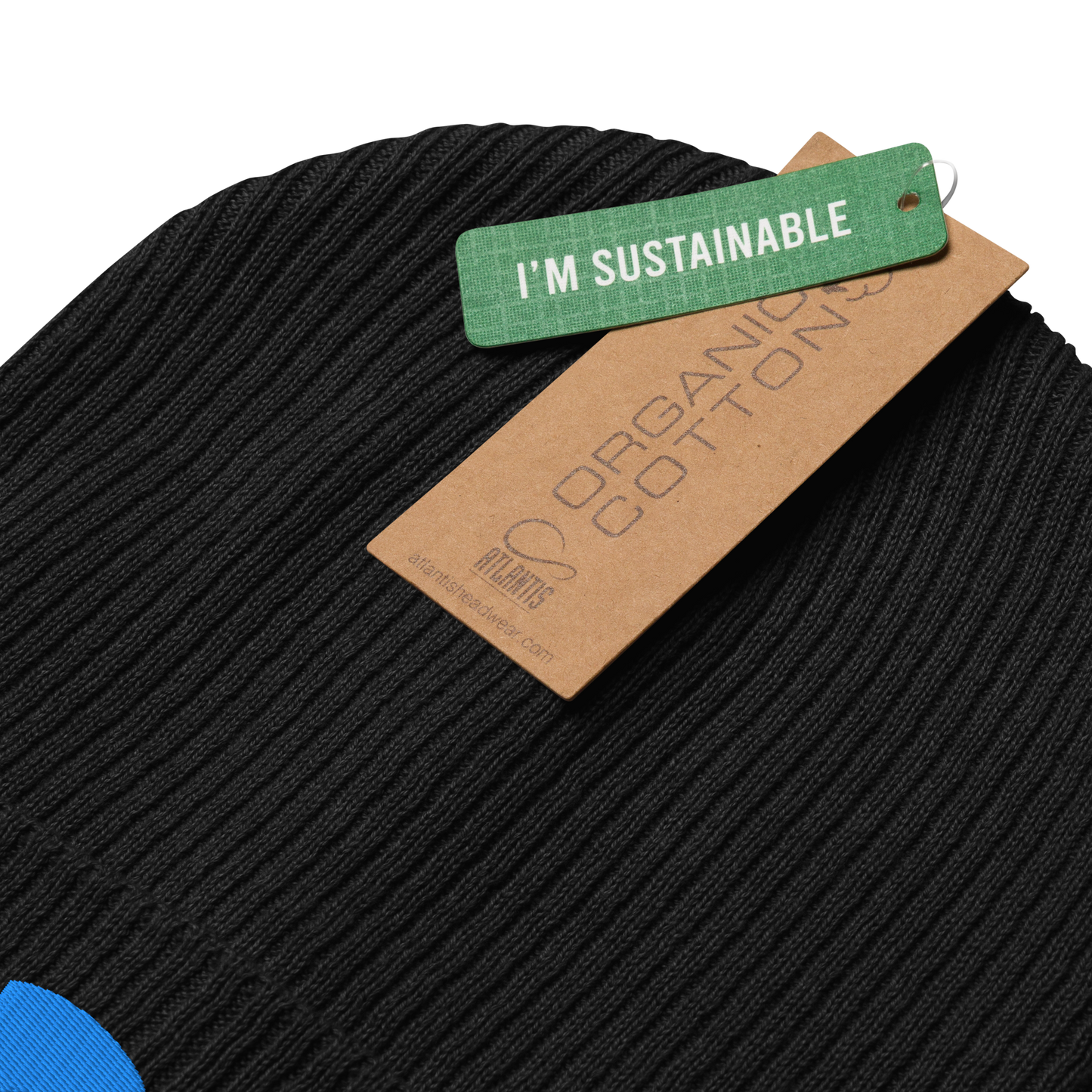 Organic Ribbed Beanie - One Size - Black/Aqua